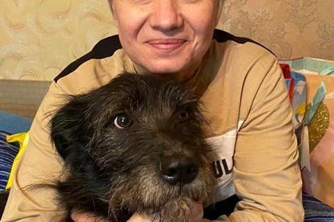 В дар собаку. Шикарный Бородач ищет дом. Фото1