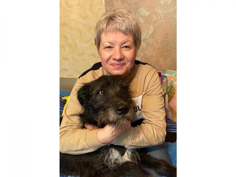 В дар собаку