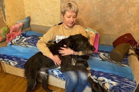 В дар собаку. Шикарный Бородач ищет дом. Фото4