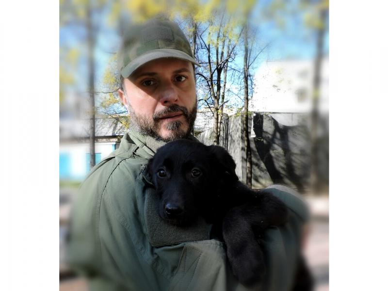 В дар собаку