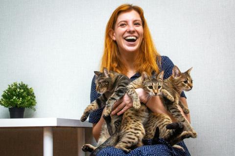 В дар кошку. Удивительная грациозная добрейшая кошечка Альфа в добрые руки. Фото1