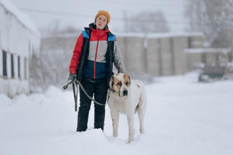 В дар собаку. Молодой алабай Миша в добрые руки. Фото3
