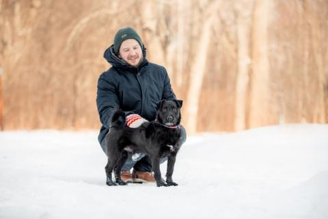 В дар собаку. Маленький коротколапый бородатик Элвис в добрые руки. Фото4