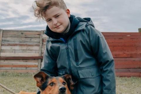 В дар собаку. Пёс-компаньон Марс после спасения ищет дом. Фото2