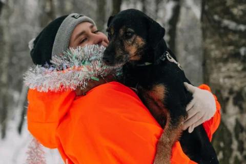 В дар собаку. Спортсмен и красавец, пёс-огонь Рональд ищет дом. Фото4
