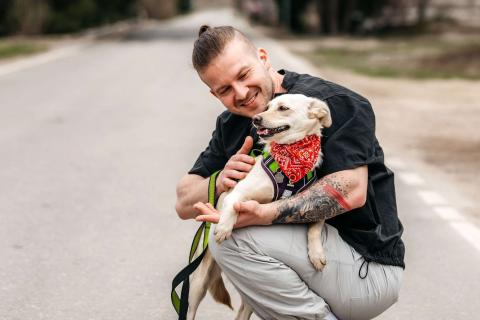 В дар собаку. Миниатюрная белая собачка Асти в дар. Фото2