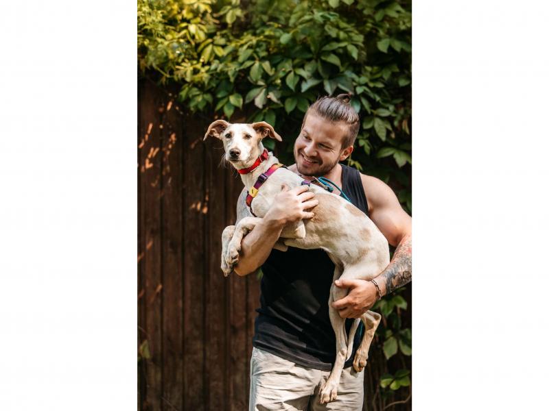 В дар собаку