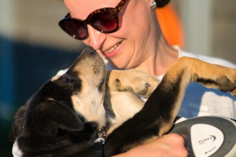 В дар собаку. Умняшка Принцесса — щенок в добрые руки. Фото2