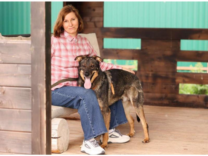 В дар собаку