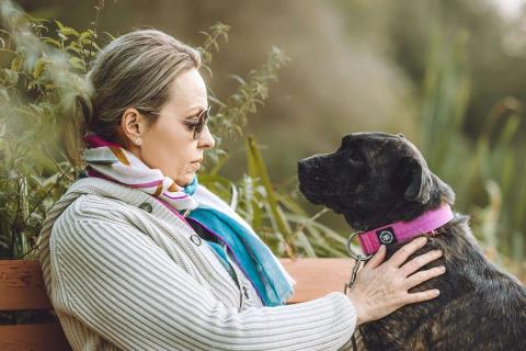 В дар собаку. Мудрая Миранда ищет дом. Фото1