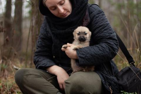 В дар собаку. Крохи-щенки — вырастут маленькими. Фото4