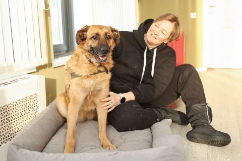 В дар собаку. Благодарный добряк пёс Родман в приюте. Фото1