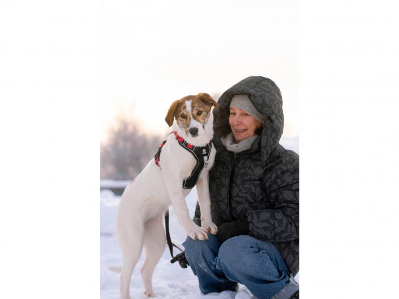 В дар собаку